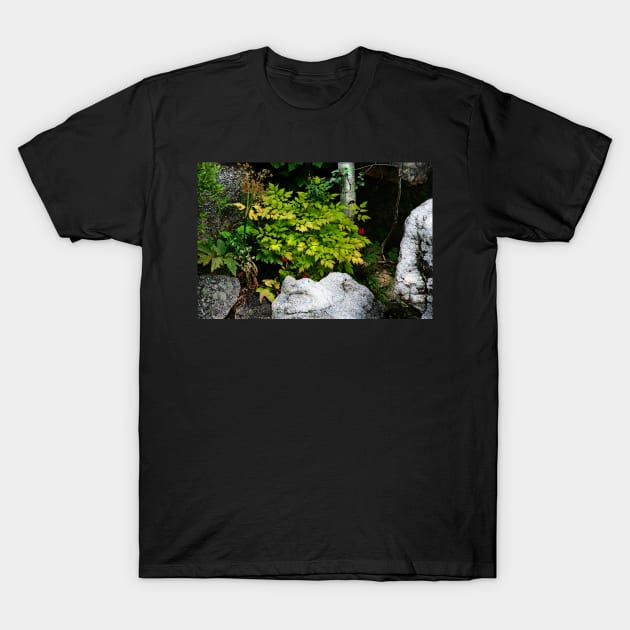 Hidden Berries T-Shirt by EileenMcVey